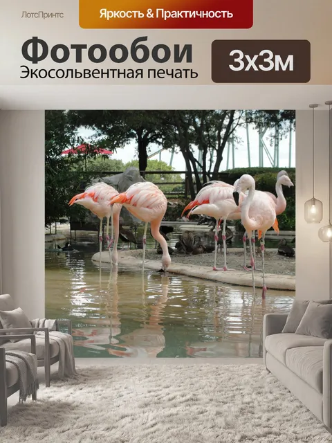Фотообои Фламинго