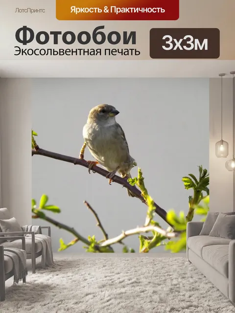 Фотообои Воробей