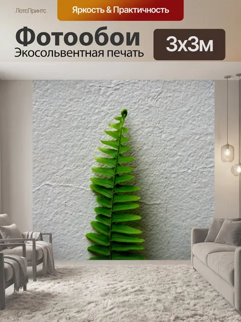 Фотообои зеленый листья папоротника