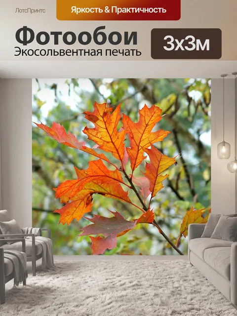 Фотообои Падение