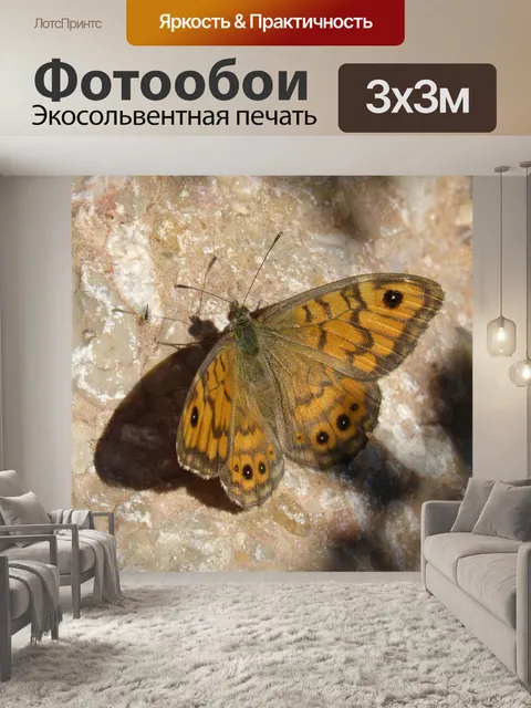 Фотообои Бабочка