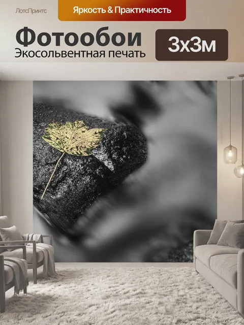 Фотообои Черно-белый