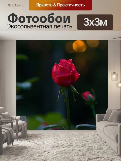 Фотообои Роза