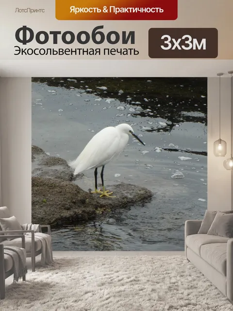 Фотообои Маленькая цапля на скале