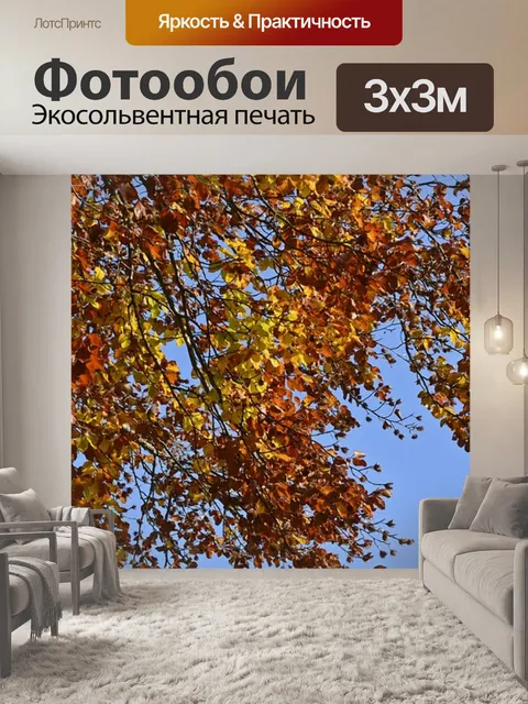 Фотообои Осеннее дерево