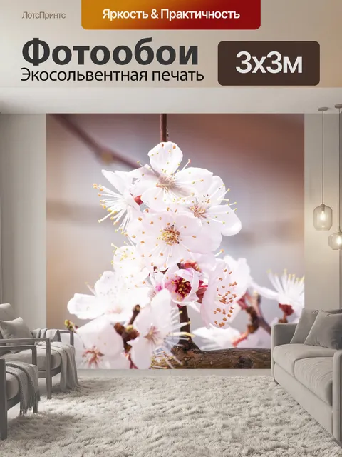 Фотообои Вишня