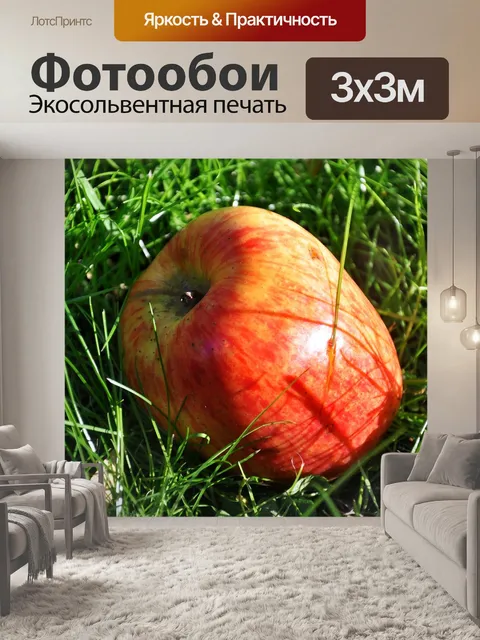 Фотообои Еда