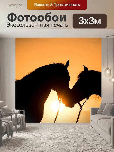Фотообои Лошади