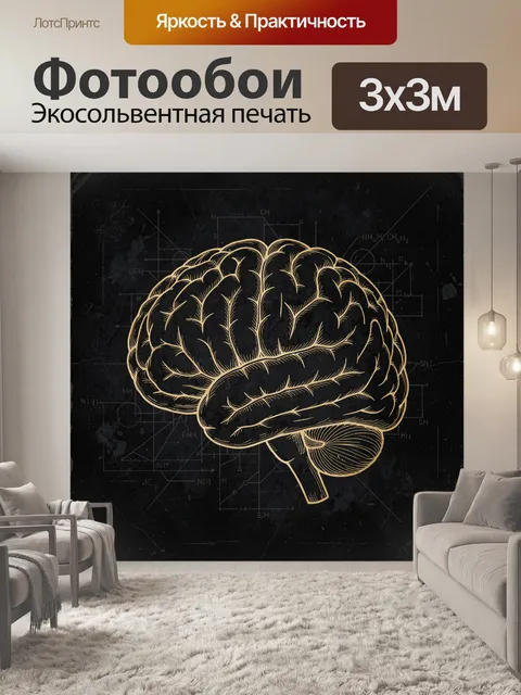 Фотообои Анатомическая схема человеческого мозга