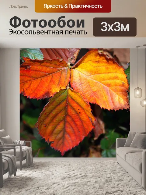 Фотообои Брамбл лист в осени