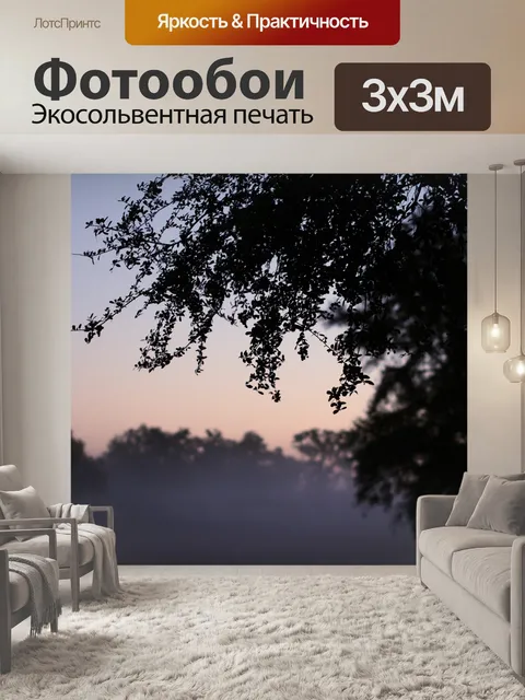 Фотообои Туман