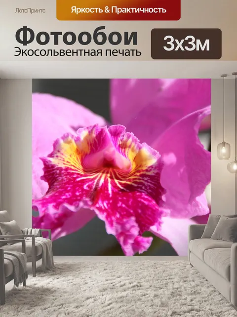 Фотообои Весна