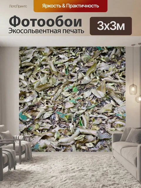Фотообои Опавшие листья на земле