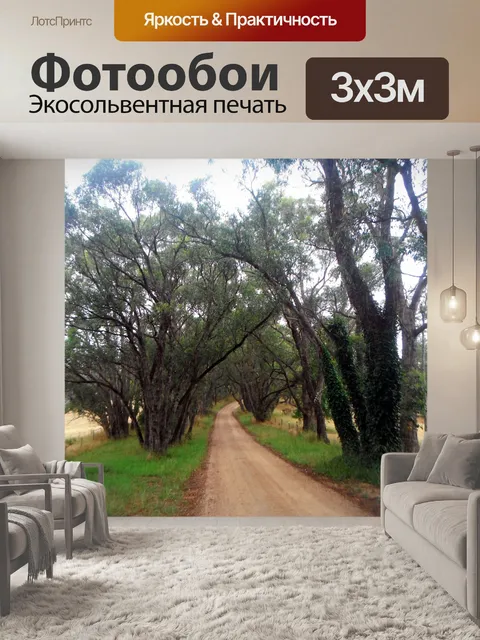 Фотообои Проселочная дорога
