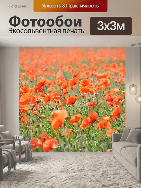 Фотообои Маки