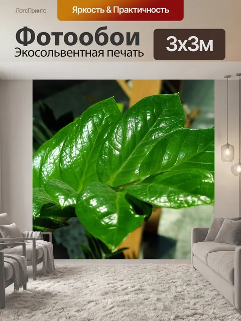 Фотообои Листья
