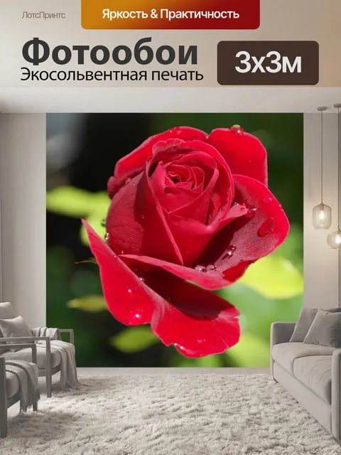 Фотообои Роза Красная, капляобразное