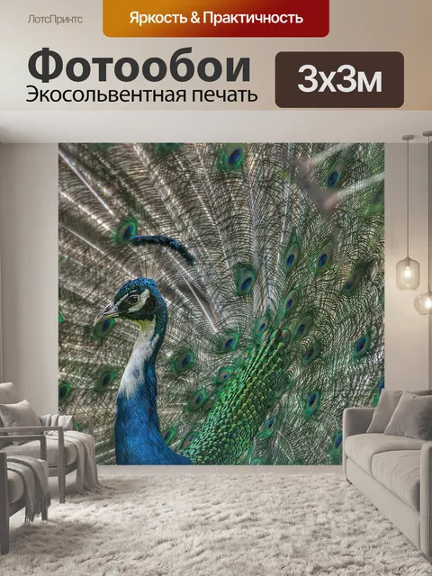 Фотообои Павлин