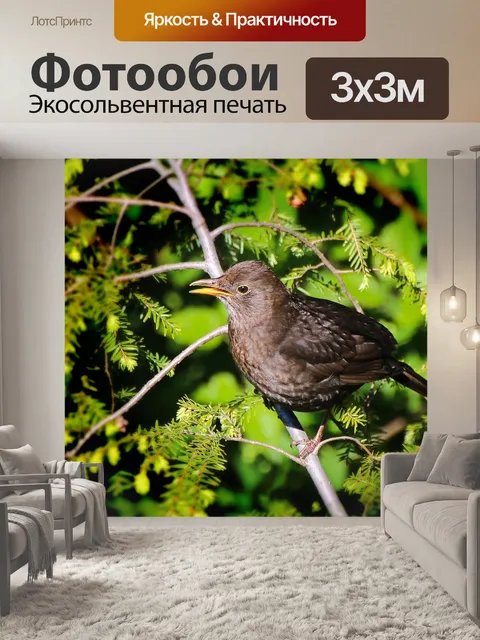 Фотообои Птица