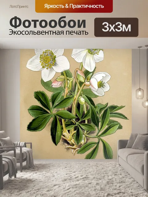 Фотообои Цветок белый винтажное искусство