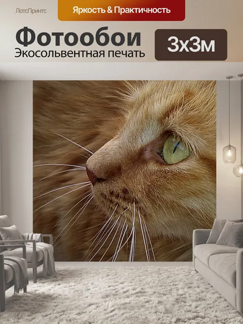 Фотообои Кошка
