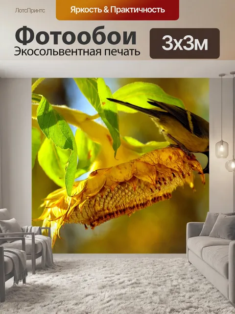 Фотообои Большая синица