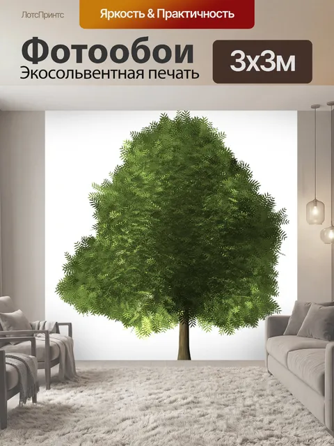 Фотообои Клен