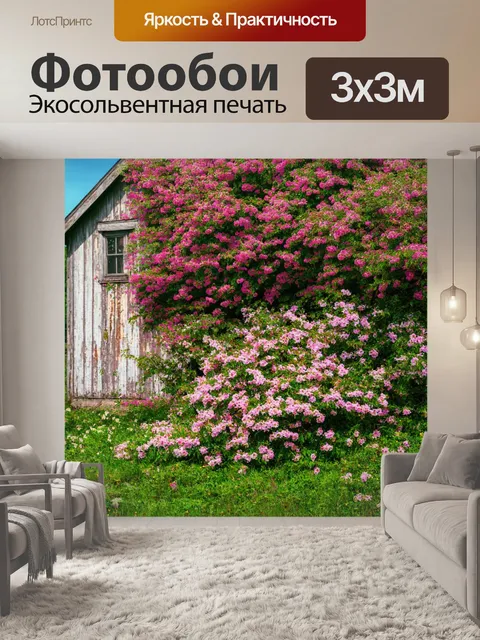 Фотообои цветы в стиле гиперреализм, распустившиеся азалии на фоне старинного заброшенного дома, призрак времени