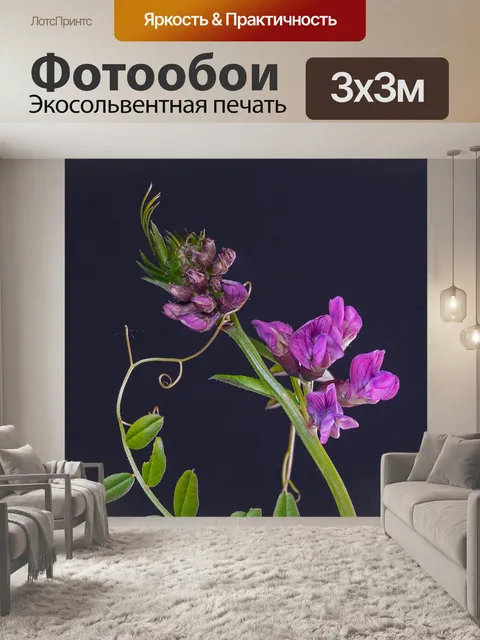Фотообои Вика