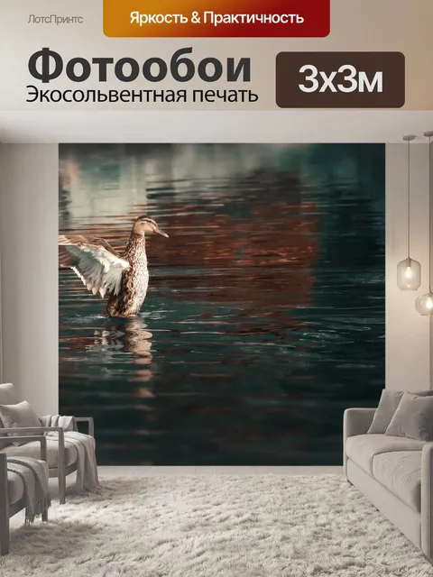 Фотообои Танец ухаживания