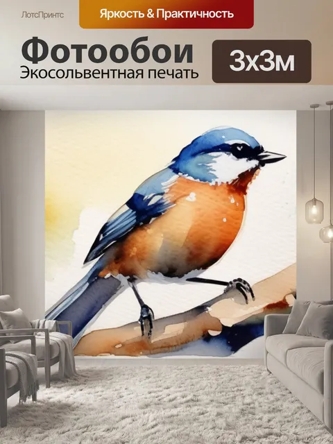Фотообои птицы и кормушка