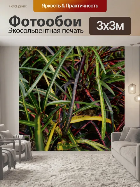 Фотообои Растения