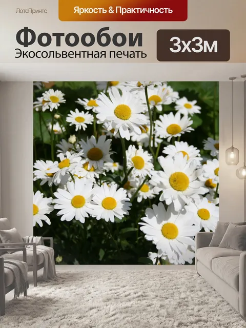 Фотообои Ромашки