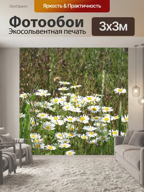 Фотообои Цветы