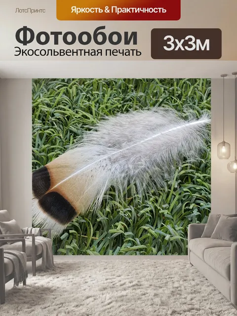 Фотообои Перо на траве