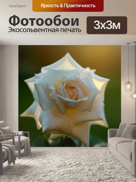Фотообои Роза