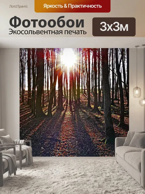 Фотообои Лес