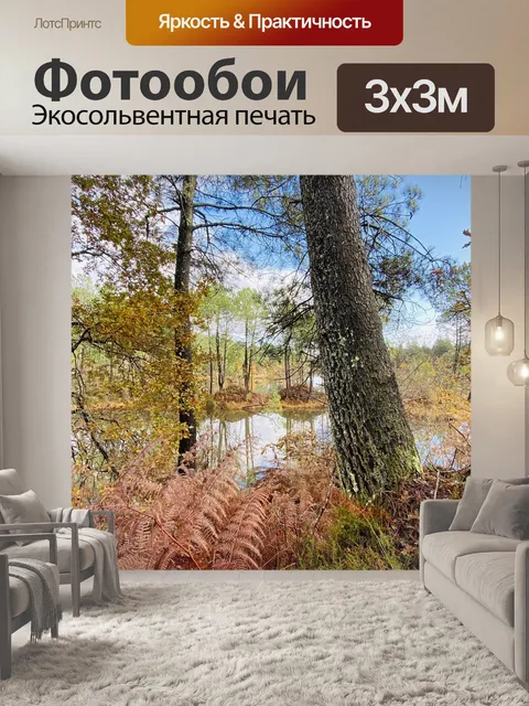 Фотообои Лес