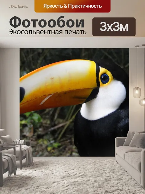 Фотообои Тукан