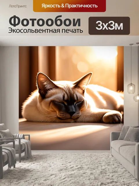 Фотообои сиамский кот, мирно спящий в лучах заката, его шерсть освещена золотистым светом