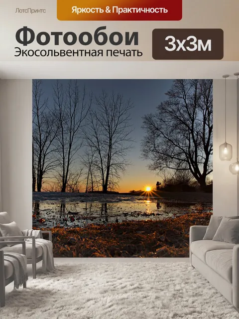 Фотообои Деревья