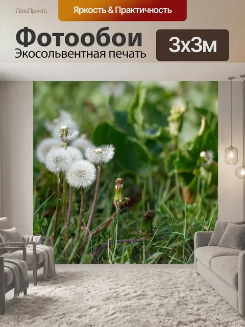 Фотообои Одуванчик