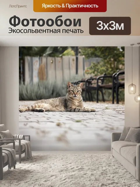 Фотообои Кошка