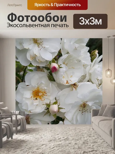 Фотообои Розы