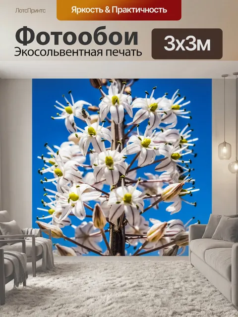 Фотообои Цветы