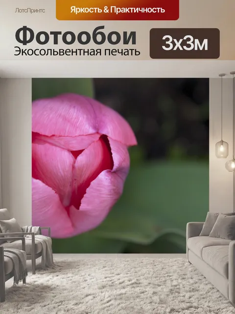 Фотообои Розовый