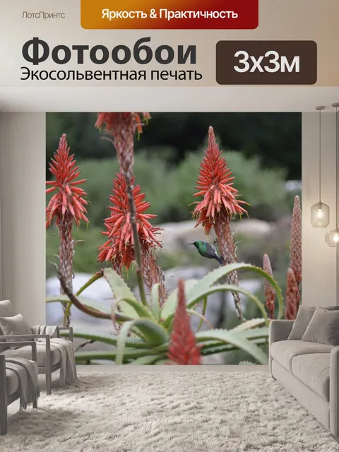 Фотообои Птица
