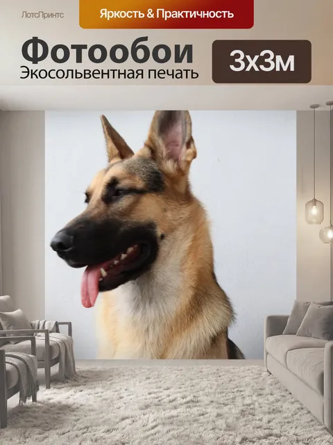 Фотообои Собака