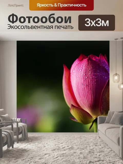 Фотообои Лотос Роза на зеленом фоне