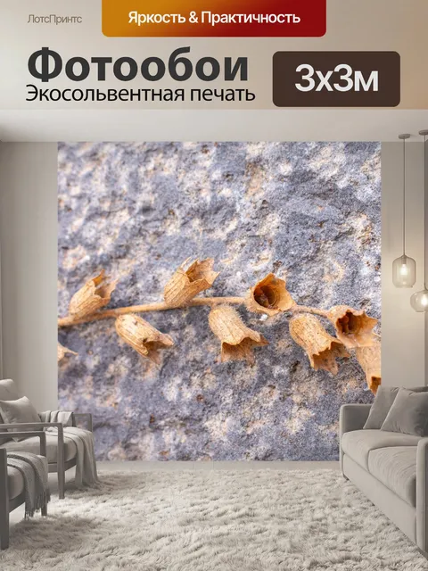 Фотообои Цветы